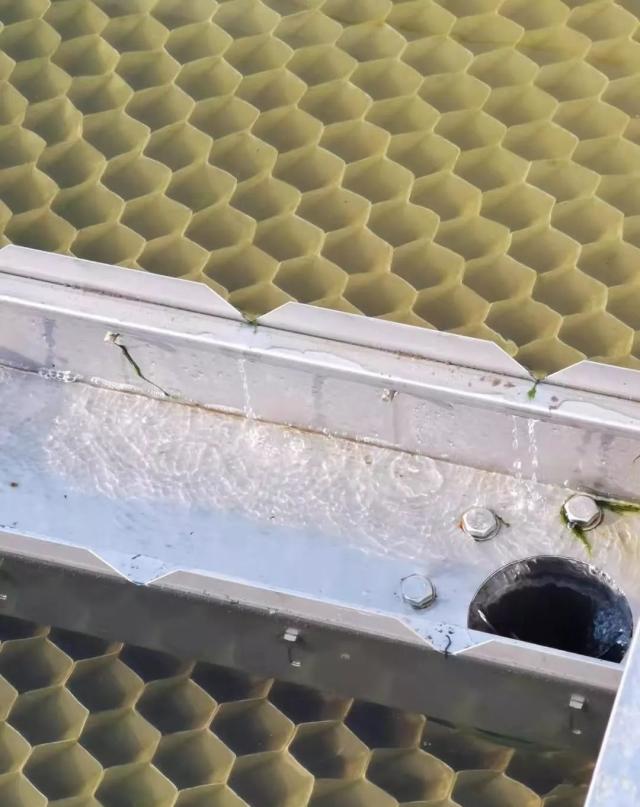 1578627145192072.jpeg e850352ac65c1038599b680af1d71216b27e8958.jpeg