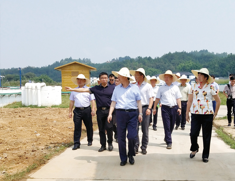 1588578381211770.jpg 001.jpg